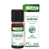 Huile essentielle de Ravintsara - 5ml